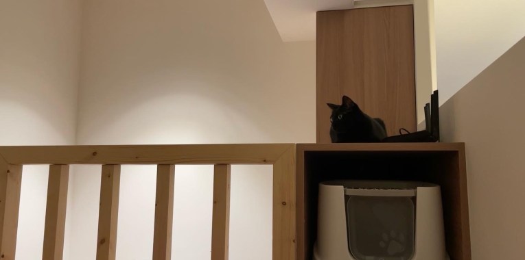 旋轉們給店貓設計的空間