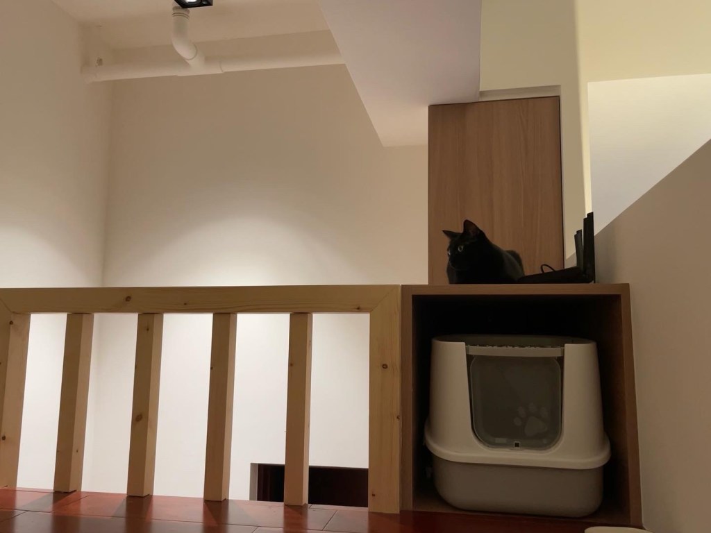 旋轉們給店貓設計的空間